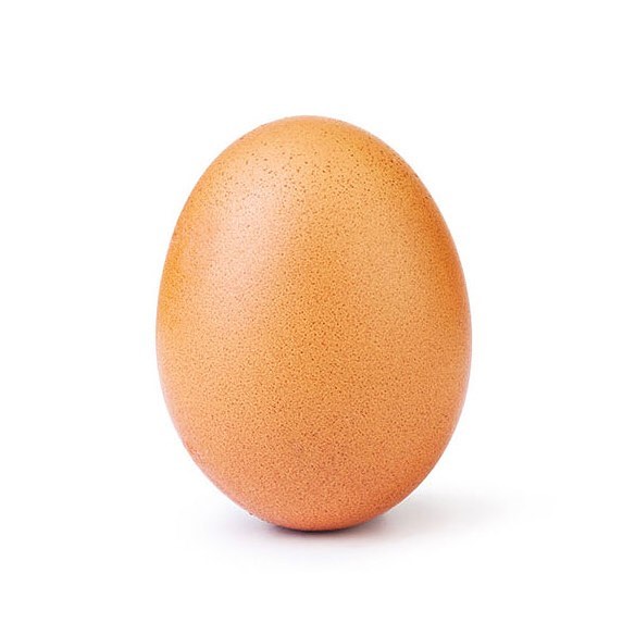 World record egg photo
